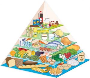 Pyramide Alimentaire