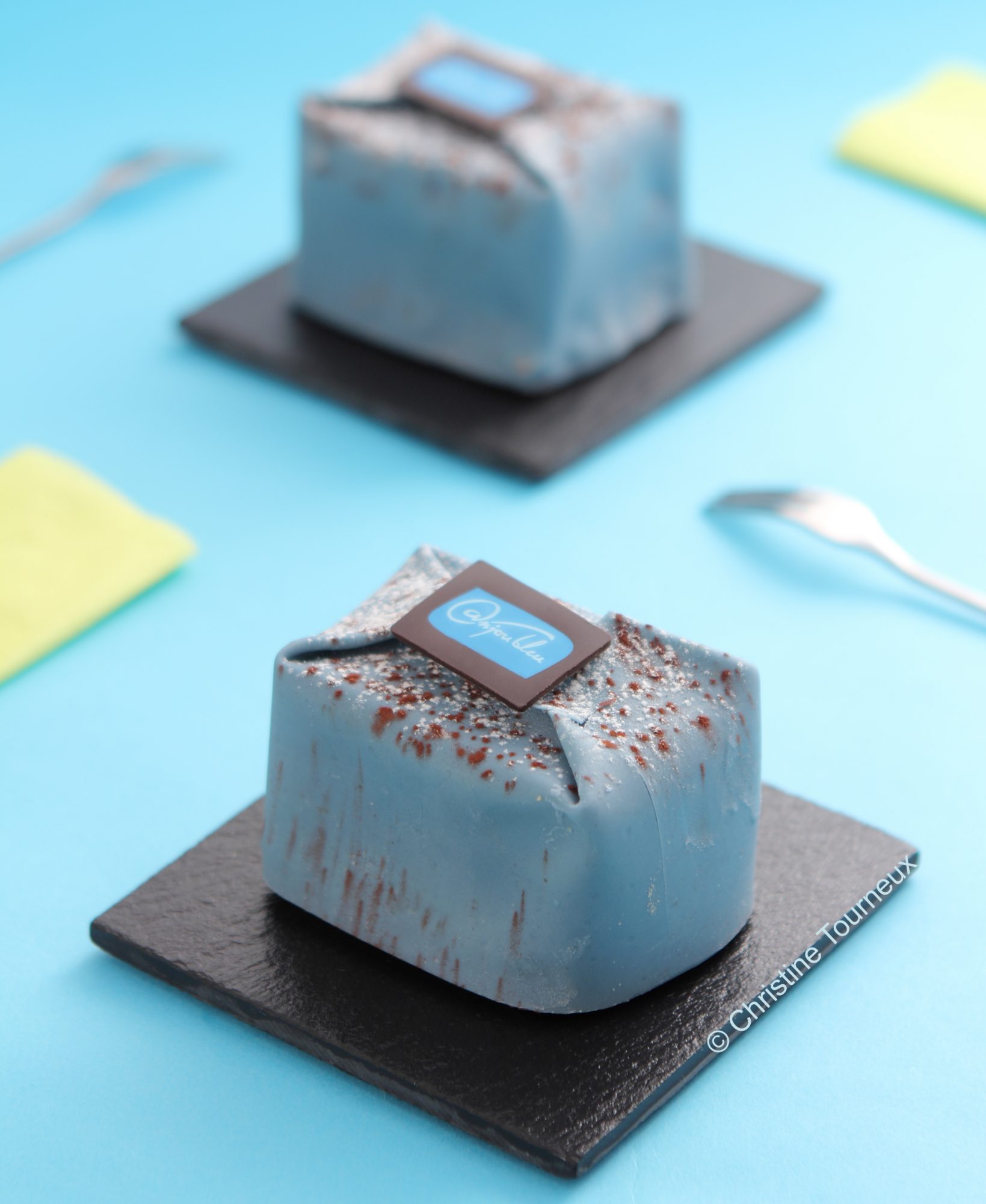 Anjou Bleu Spécialité du Maine et Loire Fédération boulangerie 49